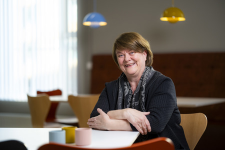 Hugverka- og stjórnsýslusvið